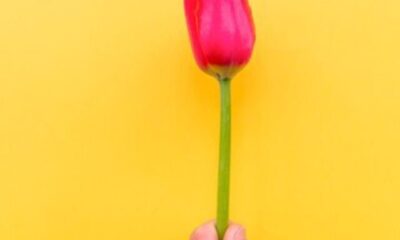 Aprenda-a-dar-o-presente-inesquecível-no-Dia-da-Mulher!-00-08-03-24