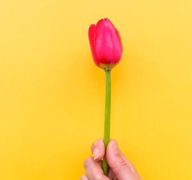 Aprenda-a-dar-o-presente-inesquecível-no-Dia-da-Mulher!-00-08-03-24