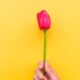 Aprenda-a-dar-o-presente-inesquecível-no-Dia-da-Mulher!-00-08-03-24