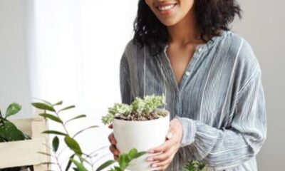 Traga-vida-para-sua-casa-com-a-energia-das-plantas!-00-08-03-24